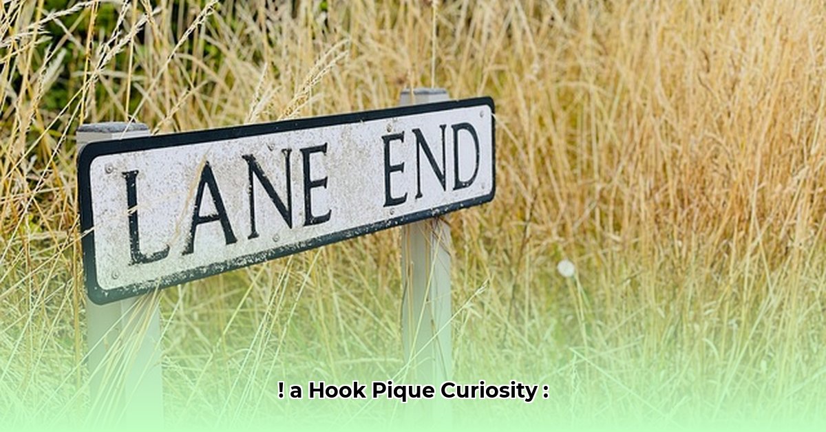 lane-pittman-net-worth